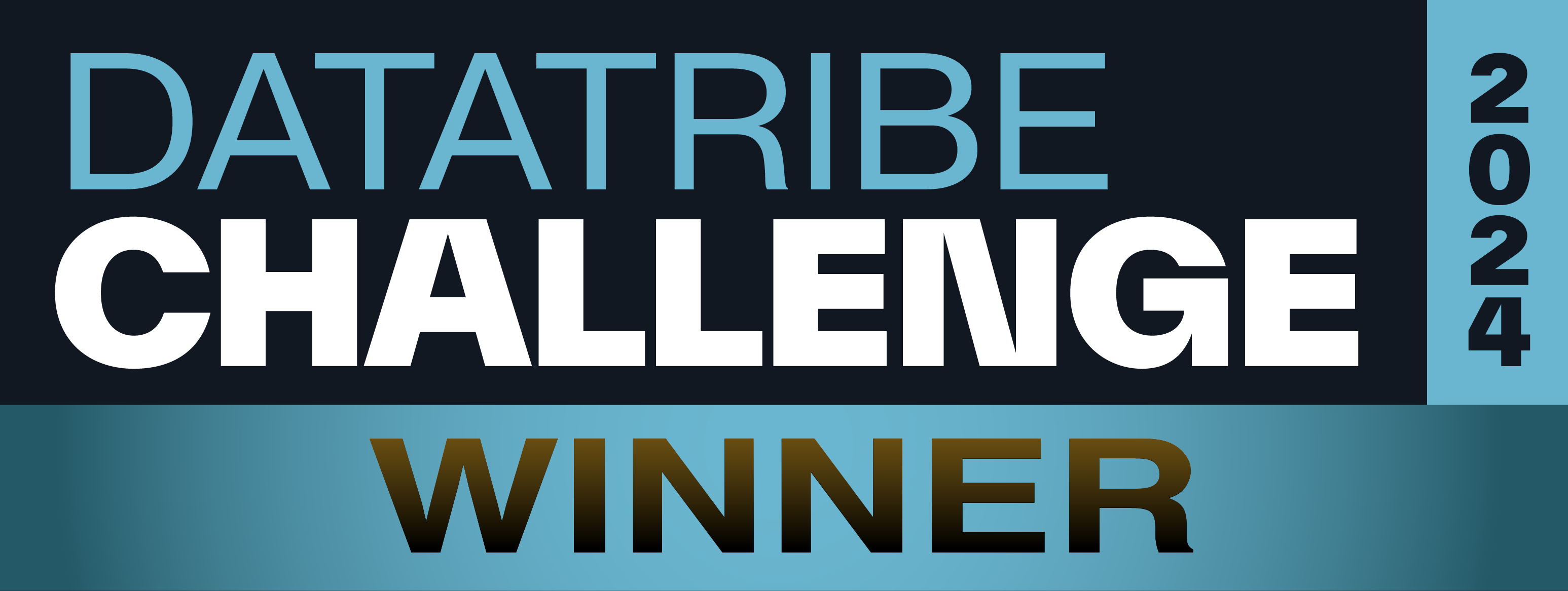Datatribe Challenge 2024 Winner