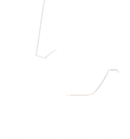 L5CYBER_DARK_BACKGROUND_TRANSPARENT-2